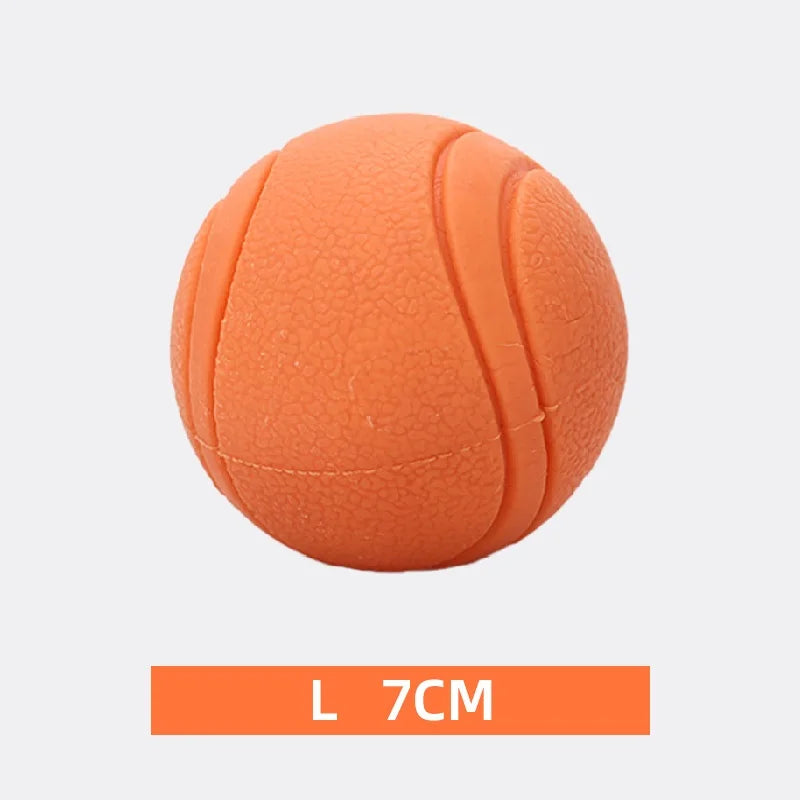 Premium Bite-Resistant Dog Play Ball™