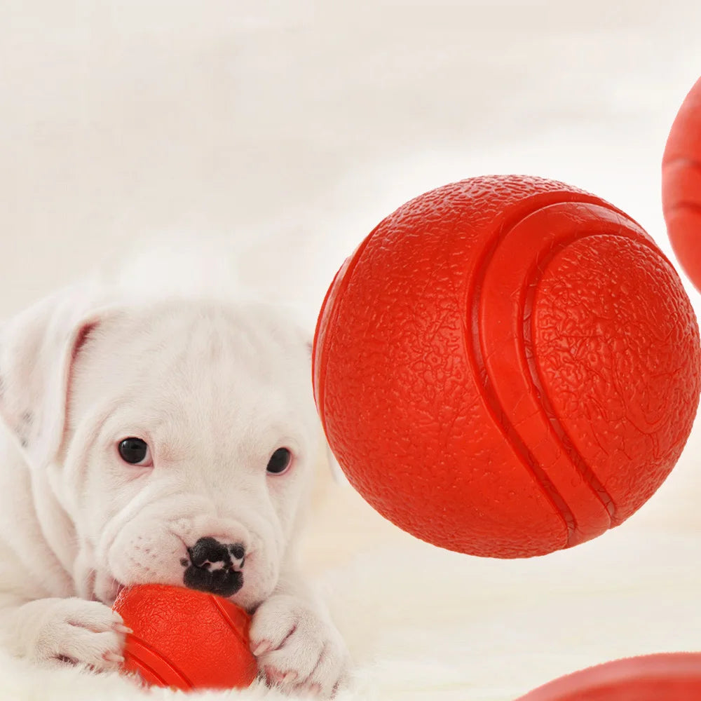 Premium Bite-Resistant Dog Play Ball™
