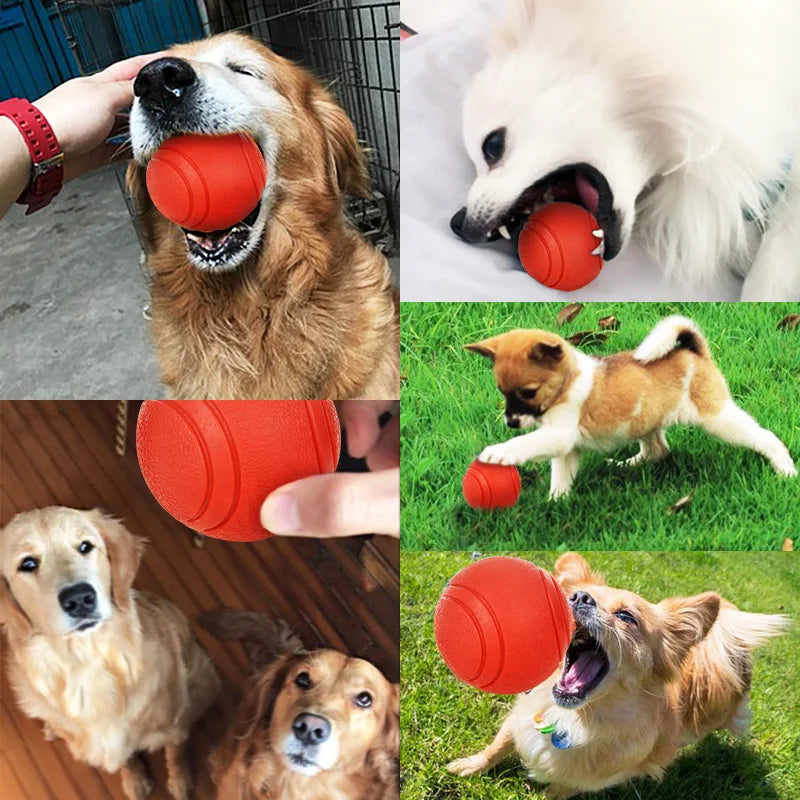 Premium Bite-Resistant Dog Play Ball™