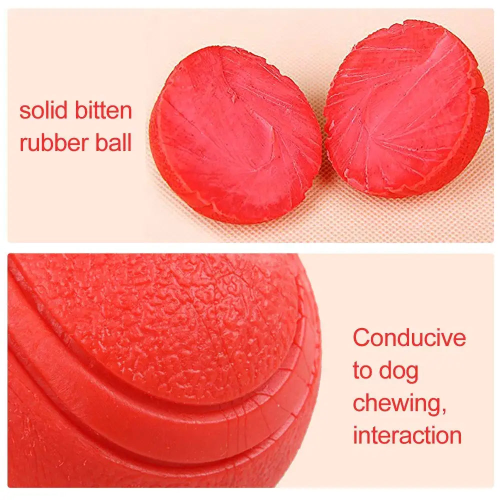 Premium Bite-Resistant Dog Play Ball™
