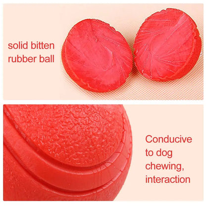 Premium Bite-Resistant Dog Play Ball™