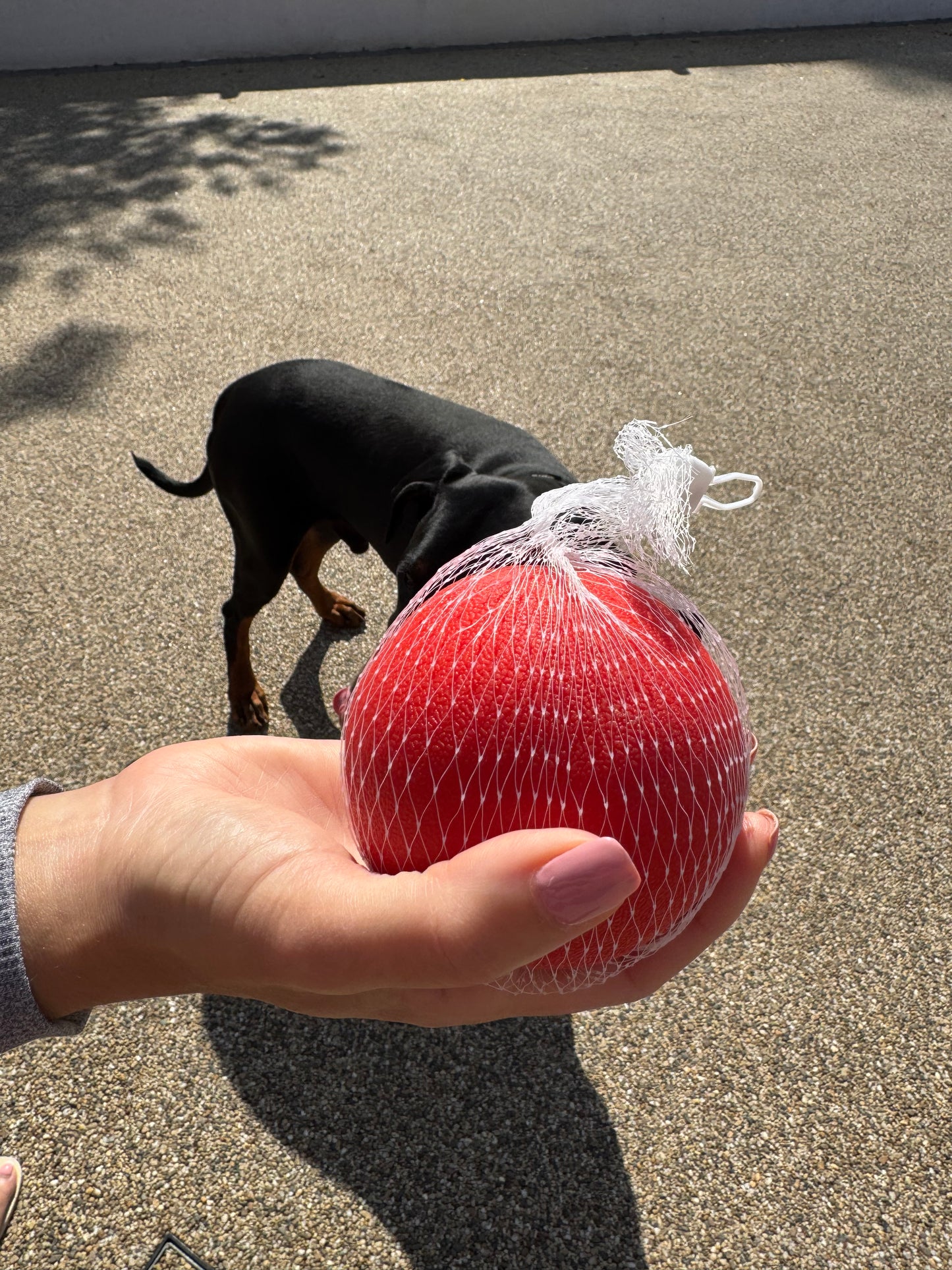 Tuffery's Bite-Resistant Dog Play Ball™