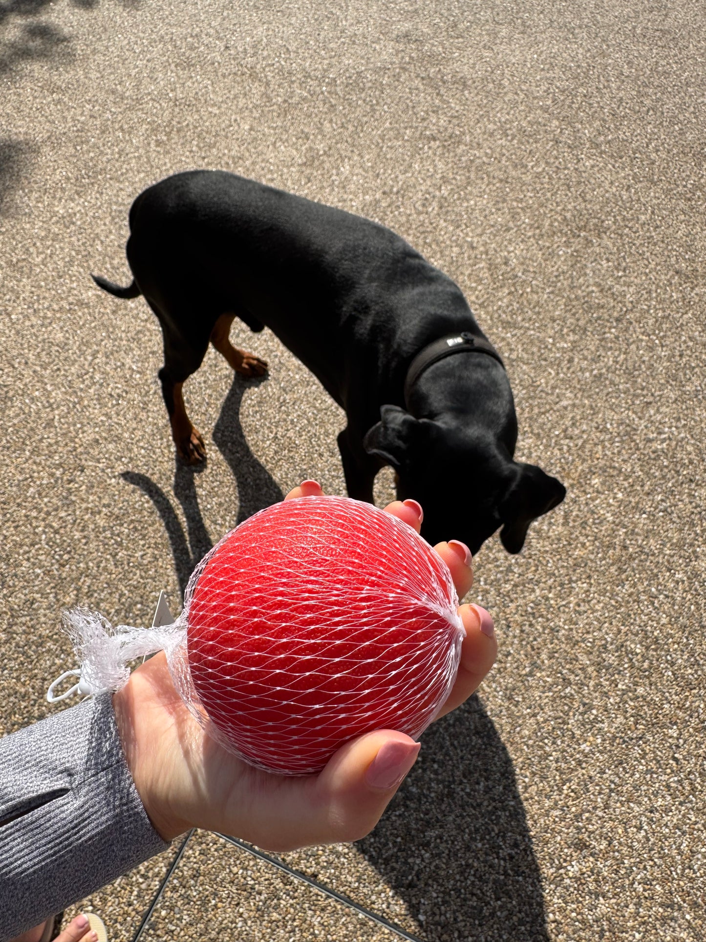 Tuffery's Bite-Resistant Dog Play Ball™
